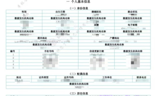 自打征信报告上有什么内容？