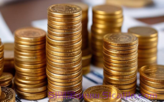 1万块花呗每个月利息多少?花呗1000元1天多少利息?