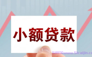 黑户不审核不看征信直接下款可以吗？不看征信直接下款3000元的软件