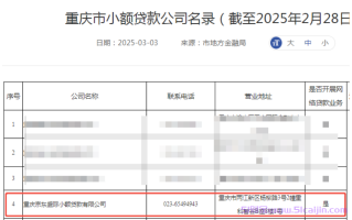 重庆京东盛际小贷是哪个平台?是什么平台?