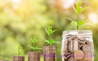 支付宝备用金一个月能借几次?最高循环4次!