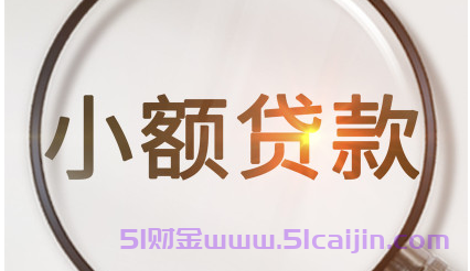 花户能下款的平台：这10个征信花能下款、下款快-第1张图片-51财金