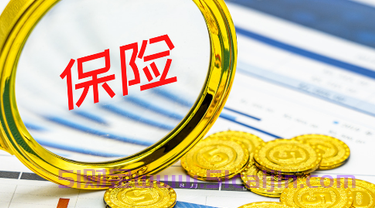 重疾险是什么?-第1张图片-51财金