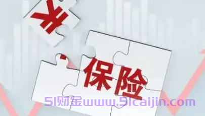 重疾险的特点?-第1张图片-51财金