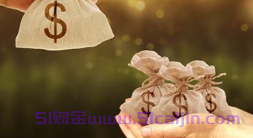 花呗怎么分24期还款？-第1张图片-51财金