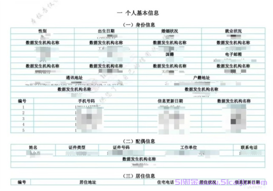 自打征信报告上有什么内容？-第1张图片-51财金