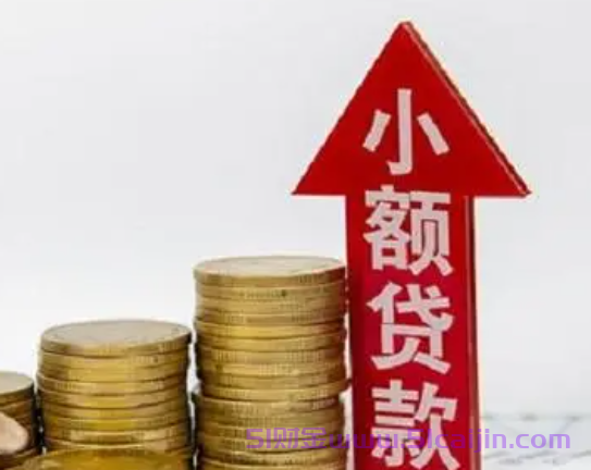 网贷试了几个都没审批？-第1张图片-51财金