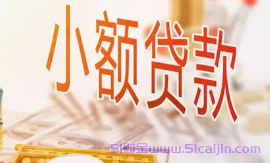 贷款10000哪个平台好通过？11月贷款10000的平台-第1张图片-51财金