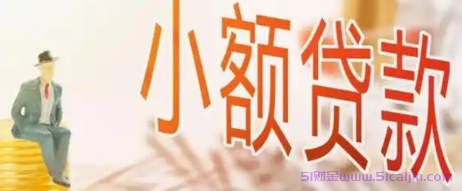 大额低息审批快的网贷有哪些？10大现金贷款app排行2024-第1张图片-51财金