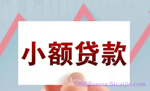 借款2000元马上放款的网贷有哪些？千元小额贷款app快速下款-第1张图片-51财金