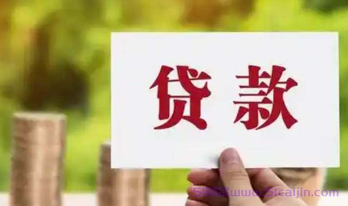 不审核直接放款1000的网贷有哪些?18岁小额贷款1000元秒下款-第1张图片-51财金