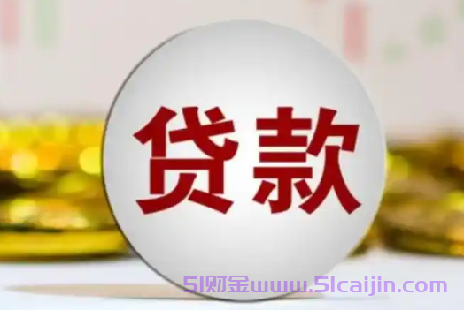 2025黑户借1000的小平台有吗?0担保0抵押的借钱软件2025-第1张图片-51财金