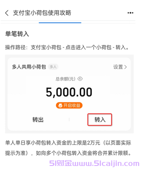 小荷包安全吗?支付宝小荷包是干什么用的?-第2张图片-51财金