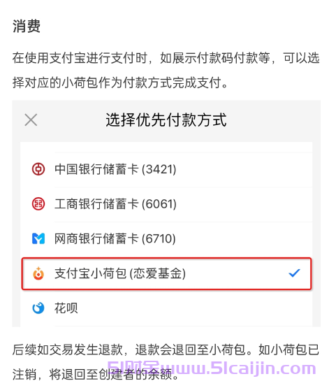 小荷包安全吗?支付宝小荷包是干什么用的?-第4张图片-51财金