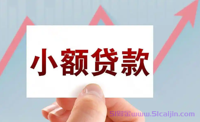无视一切包下款的贷款是什么?无视黑白无视负债贷款2025-第1张图片-51财金