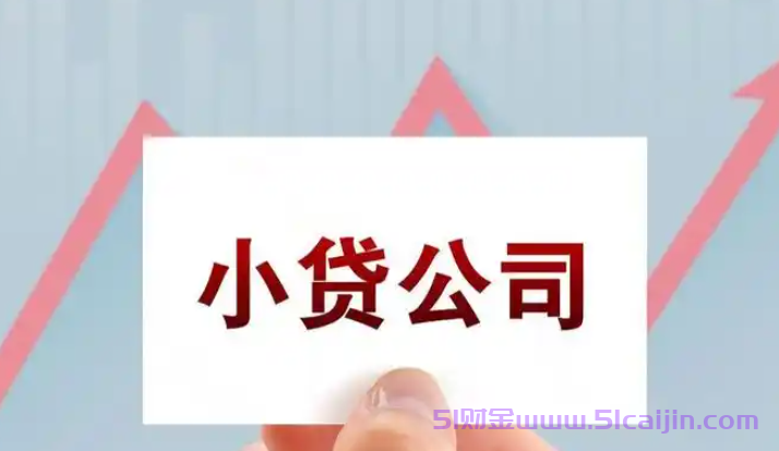 大额信用贷款哪个平台好？个人在线申请贷款30万-第1张图片-51财金