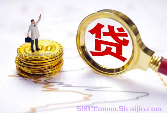 不查风控征信的网贷有哪些?100%通过率的网贷不查风控！-第1张图片-51财金
