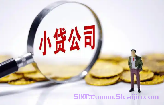 国家认可的10家小额贷款平台有哪些？2025正规网贷名单合集-第1张图片-51财金
