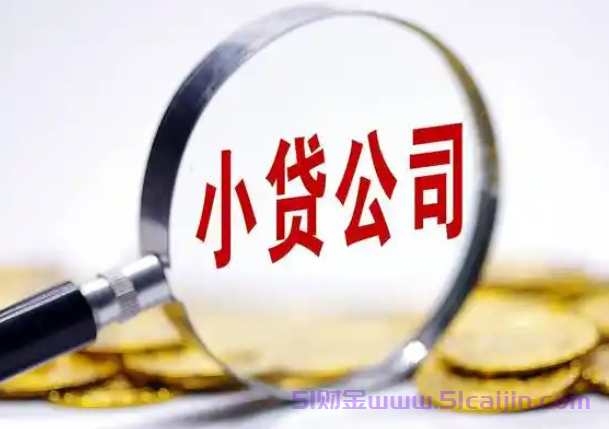 2025学生应急资金指南！18岁可申请的3大正规平台，低门槛快速审批-第1张图片-51财金
