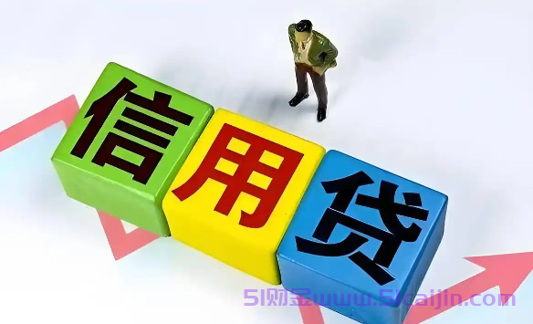 京东白条取现可以分多少期?最新白条分期规定解读-第1张图片-51财金