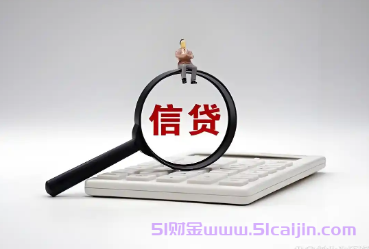 网贷平台排行榜有哪些？2025年十大网贷平台排行榜-第1张图片-51财金