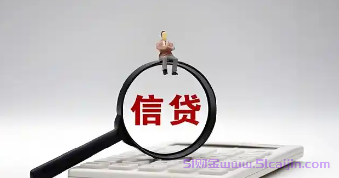 武汉易贷网是什么平台？武汉易贷网是干什么的？-第1张图片-51财金
