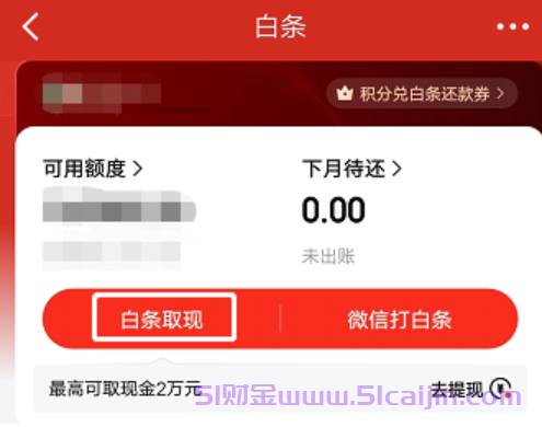 京东白条怎么借钱?白条取现怎么开通?-第2张图片-51财金