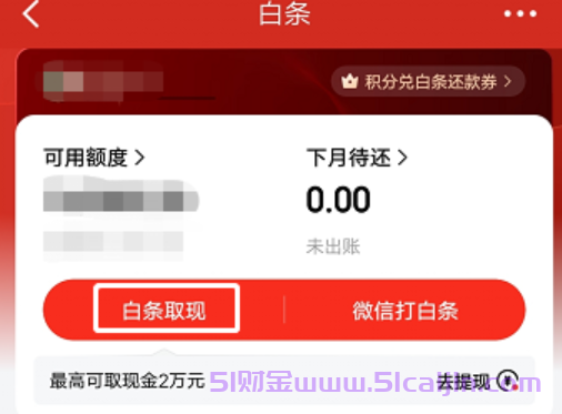 白条怎么提现出来?白条提现操作流程是什么?-第2张图片-51财金