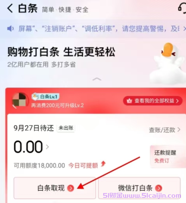 京东白条可以提现吗怎么提现?-第1张图片-51财金