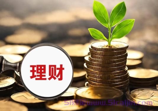 理财是怎么赚钱的?-第1张图片-51财金
